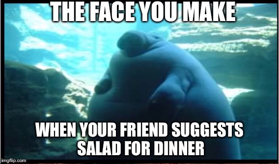 Fat manatee | THE FACE YOU MAKE; WHEN YOUR FRIEND SUGGESTS SALAD FOR DINNER | image tagged in manatee,dank,memes | made w/ Imgflip meme maker