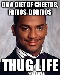 Thug Life | ON A DIET OF CHEETOS, FRITOS, DORITOS; THUG LIFE | image tagged in thug life | made w/ Imgflip meme maker