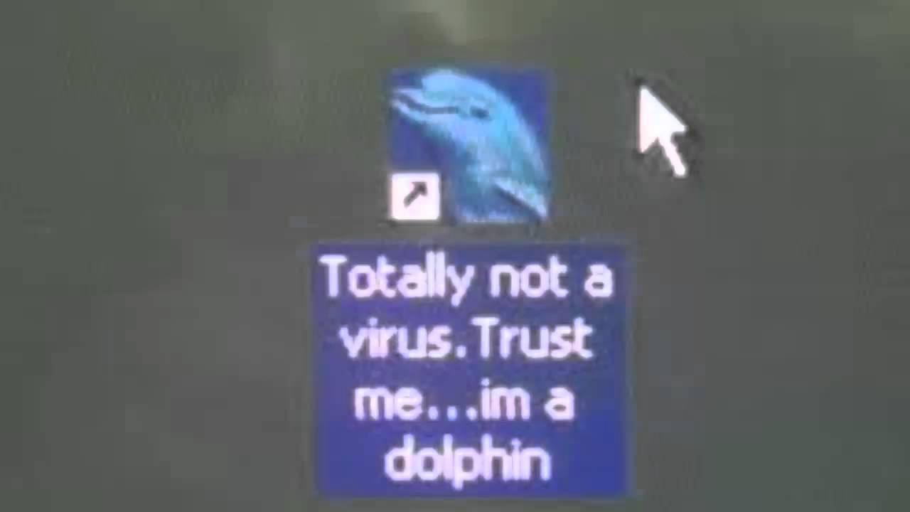 Dolphin virus. Blank Meme Template