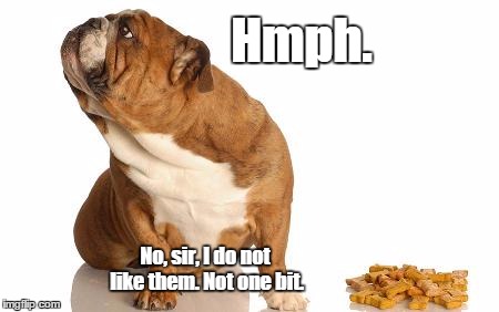 Hmph. | Hmph. No, sir, I do not like them. Not one bit. | image tagged in funny,memes,dog | made w/ Imgflip meme maker