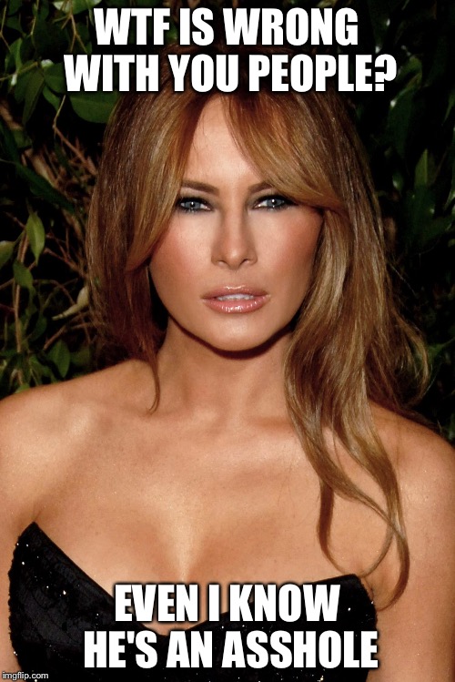 melania trump | WTF IS WRONG WITH YOU PEOPLE? EVEN I KNOW HE'S AN ASSHOLE | image tagged in melania trump | made w/ Imgflip meme maker