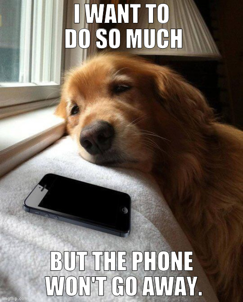 Monday sad pup | I WANT TO DO SO MUCH; BUT THE PHONE WON'T GO AWAY. | image tagged in monday sad pup | made w/ Imgflip meme maker