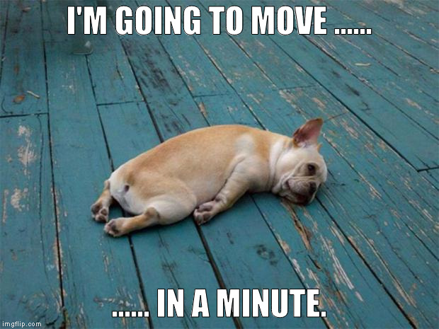 Sadness | I'M GOING TO MOVE ...... ...... IN A MINUTE. | image tagged in sadness | made w/ Imgflip meme maker