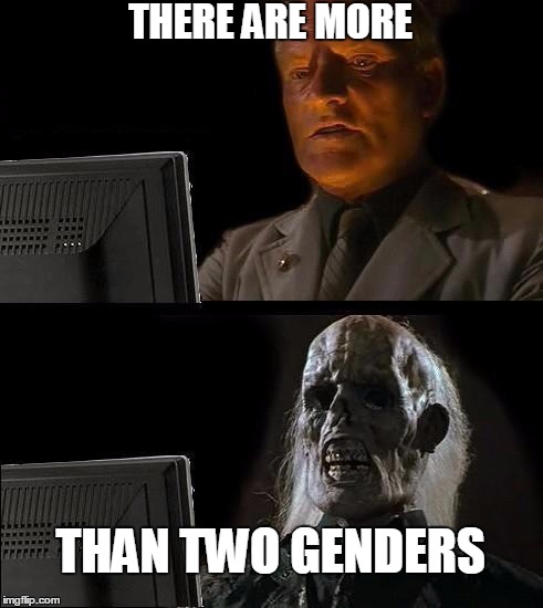 I'll Just Wait Here | THERE ARE MORE; THAN TWO GENDERS | image tagged in memes,ill just wait here | made w/ Imgflip meme maker