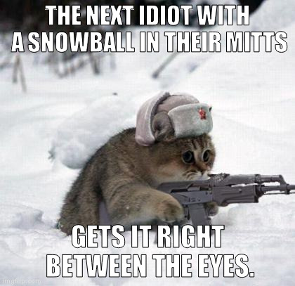Cute Sad Soviet War Kitten | THE NEXT IDIOT WITH A SNOWBALL IN THEIR MITTS; GETS IT RIGHT BETWEEN THE EYES. | image tagged in cute sad soviet war kitten | made w/ Imgflip meme maker