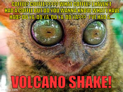 No Sleep for Lemur | COFFEE? COFFEE????? WHAT COFFEE? I HAVEN'T HAD A COFFEE BUT DO YOU WANNA KNOW WHAT I HAVE HAD? DO YA, DO YA, DO YA, DO YA???   I'VE HAD A..... VOLCANO SHAKE! | image tagged in no sleep for lemur | made w/ Imgflip meme maker