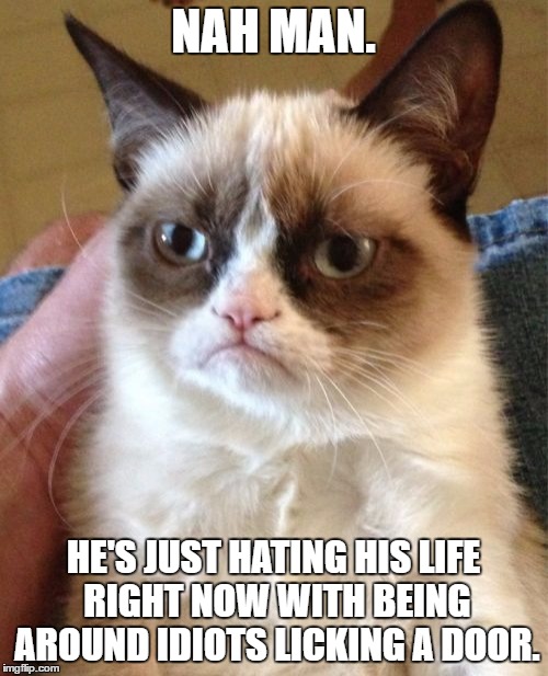 Grumpy Cat Meme | NAH MAN. HE'S JUST HATING HIS LIFE RIGHT NOW WITH BEING AROUND IDIOTS LICKING A DOOR. | image tagged in memes,grumpy cat | made w/ Imgflip meme maker