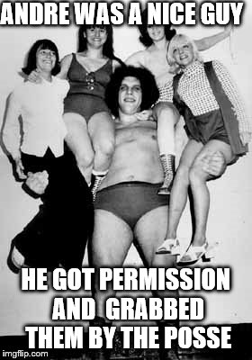 nice andre & posse | ANDRE WAS A NICE GUY; HE GOT PERMISSION AND  GRABBED THEM BY THE POSSE | image tagged in andre,giant,posse,grab | made w/ Imgflip meme maker