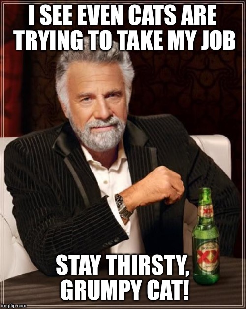 The Most Interesting Man In The World Meme | I SEE EVEN CATS ARE TRYING TO TAKE MY JOB STAY THIRSTY, GRUMPY CAT! | image tagged in memes,the most interesting man in the world | made w/ Imgflip meme maker