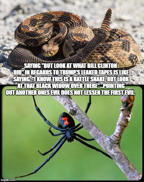 SAYING "BUT LOOK AT WHAT BILL CLINTON DID" IN REGARDS TO TRUMP'S LEAKED TAPES IS LIKE SAYING.."I KNOW THIS IS A RATTLE SNAKE, BUT LOOK AT THAT BLACK WIDOW OVER THERE"...POINTING OUT ANOTHER ONES EVIL DOES NOT LESSEN THE FIRST EVIL. | image tagged in politics,political meme | made w/ Imgflip meme maker