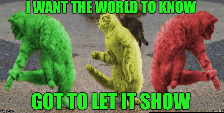 Three Dancing RayCats | I WANT THE WORLD TO KNOW; GOT TO LET IT SHOW | image tagged in three dancing raycats | made w/ Imgflip meme maker