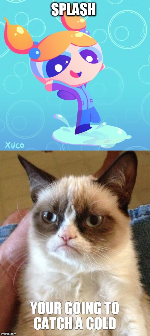 SPLASH; YOUR GOING TO CATCH A COLD | image tagged in grumpy cat | made w/ Imgflip meme maker