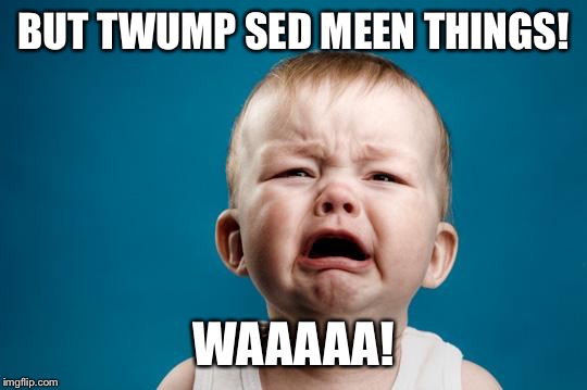 BABY CRYING | BUT TWUMP SED MEEN THINGS! WAAAAA! | image tagged in baby crying | made w/ Imgflip meme maker