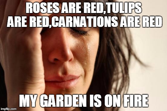 First World Problems Meme | ROSES ARE RED,TULIPS ARE RED,CARNATIONS ARE RED; MY GARDEN IS ON FIRE | image tagged in memes,first world problems | made w/ Imgflip meme maker