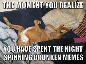 drunkdawg | THE MOMENT YOU REALIZE; YOU HAVE SPENT THE NIGHT SPINNING DRUNKEN MEMES | image tagged in funny memes | made w/ Imgflip meme maker