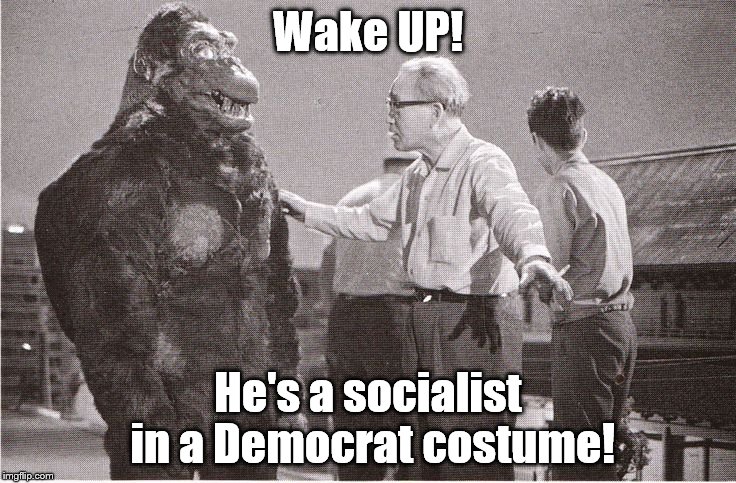 Kong with Director | Wake UP! He's a socialist in a Democrat costume! | image tagged in kong with director | made w/ Imgflip meme maker