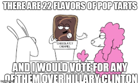 22 better candidates  | THERE ARE 22 FLAVORS OF POP TARTS; AND I WOULD VOTE FOR ANY OF THEM OVER HILLARY CLINTON | image tagged in hillary clinton,poptart,election 2016 | made w/ Imgflip meme maker