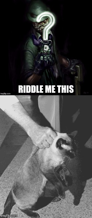 Riddle me this | image tagged in riddle me this,nsfw | made w/ Imgflip meme maker