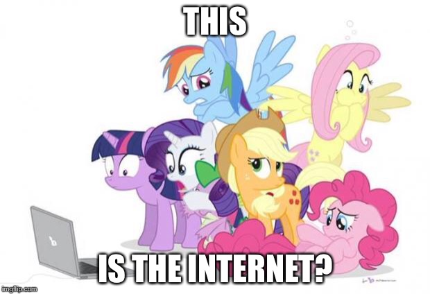 Watches G#3 MLP |  THIS; IS THE INTERNET? | image tagged in watches g3 mlp | made w/ Imgflip meme maker