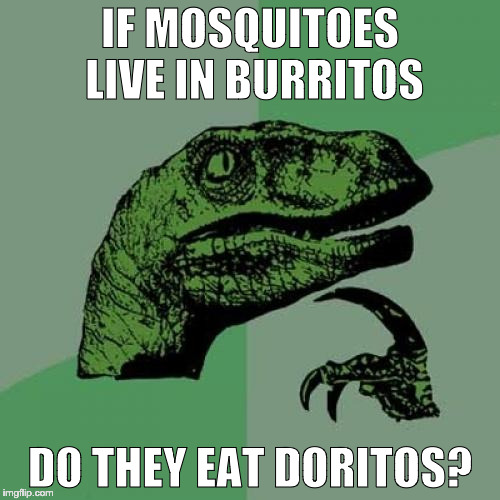 Bad Rhyming | IF MOSQUITOES LIVE IN BURRITOS; DO THEY EAT DORITOS? | image tagged in memes,philosoraptor,question,mosquito,burrito,doritos | made w/ Imgflip meme maker