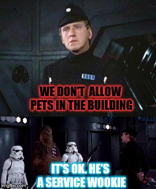 Star Wars Where are you taking this | WE DON'T  ALLOW PETS IN THE BUILDING; IT'S OK. HE'S A SERVICE WOOKIE | image tagged in star wars where are you taking this | made w/ Imgflip meme maker