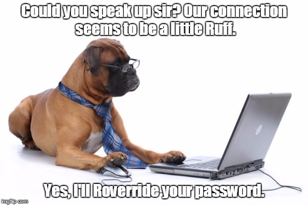 Bad humor. | Could you speak up sir? Our connection seems to be a little Ruff. Yes, I'll Roverride your password. | image tagged in funny,memes,dogs | made w/ Imgflip meme maker