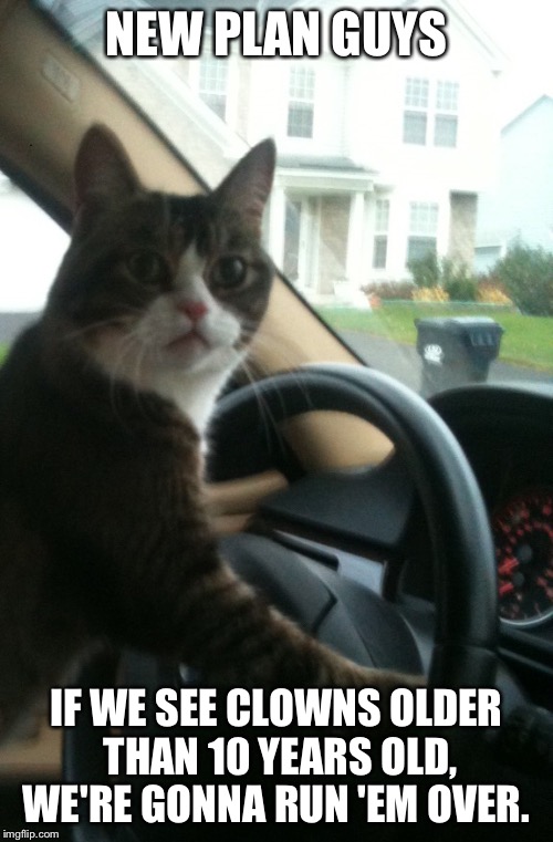 JoJo the Driving Cat Does Not Like Creepy Clowns  | NEW PLAN GUYS; IF WE SEE CLOWNS OLDER THAN 10 YEARS OLD, WE'RE GONNA RUN 'EM OVER. | image tagged in jojo the driving cat,memes,creepy clowns,run em over,down with the clowns,100 bucks for every rainbow wig you bring me | made w/ Imgflip meme maker