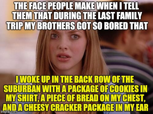 OMG Karen | THE FACE PEOPLE MAKE WHEN I TELL THEM THAT DURING THE LAST FAMILY TRIP MY BROTHERS GOT SO BORED THAT; I WOKE UP IN THE BACK ROW OF THE SUBURBAN WITH A PACKAGE OF COOKIES IN MY SHIRT, A PIECE OF BREAD ON MY CHEST, AND A CHEESY CRACKER PACKAGE IN MY EAR | image tagged in memes,omg karen | made w/ Imgflip meme maker