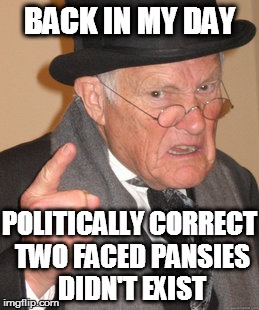 Politics  | BACK IN MY DAY; POLITICALLY CORRECT TWO FACED PANSIES DIDN'T EXIST | image tagged in memes,back in my day | made w/ Imgflip meme maker
