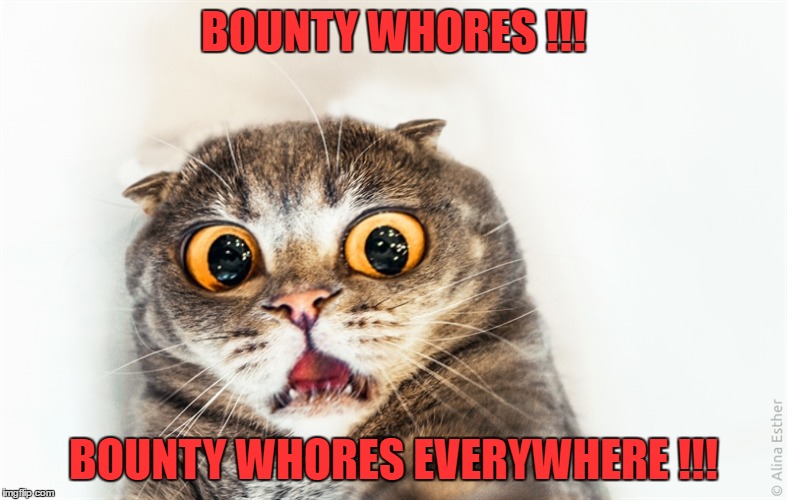 BOUNTY WHORES !!! BOUNTY WHORES EVERYWHERE !!! | made w/ Imgflip meme maker