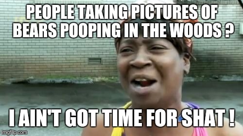 Ain't Nobody Got Time For That Meme | PEOPLE TAKING PICTURES OF BEARS POOPING IN THE WOODS ? I AIN'T GOT TIME FOR SHAT ! | image tagged in memes,aint nobody got time for that | made w/ Imgflip meme maker
