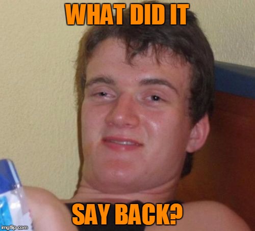 10 Guy Meme | WHAT DID IT SAY BACK? | image tagged in memes,10 guy | made w/ Imgflip meme maker