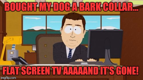 The dog barks when she's outside so to be nice to my neighbors I bought my dog a bark collar, now I'm getting robbed, clowns! | BOUGHT MY DOG A BARK COLLAR... FLAT SCREEN TV AAAAAND IT'S GONE! | image tagged in memes,aaaaand its gone | made w/ Imgflip meme maker