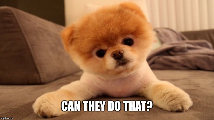 CAN THEY DO THAT? | made w/ Imgflip meme maker