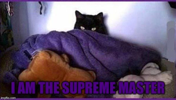 . | I AM THE SUPREME MASTER | image tagged in making plans,memes | made w/ Imgflip meme maker