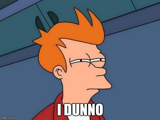 Futurama Fry Meme | I DUNNO | image tagged in memes,futurama fry | made w/ Imgflip meme maker