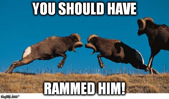 YOU SHOULD HAVE RAMMED HIM! | made w/ Imgflip meme maker