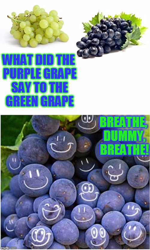 C-P-Raisin | WHAT DID THE PURPLE GRAPE SAY TO THE GREEN GRAPE; BREATHE, DUMMY, BREATHE! | image tagged in meme,funny meme,pun,grapes,jokes | made w/ Imgflip meme maker