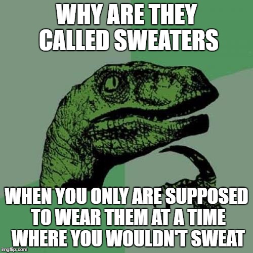 Philosoraptor | WHY ARE THEY CALLED SWEATERS; WHEN YOU ONLY ARE SUPPOSED TO WEAR THEM AT A TIME WHERE YOU WOULDN'T SWEAT | image tagged in memes,philosoraptor | made w/ Imgflip meme maker