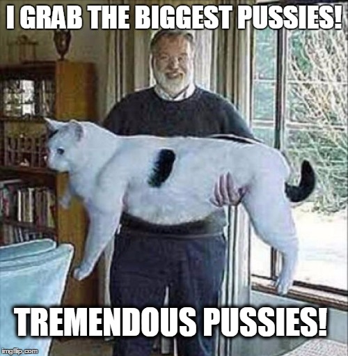 Tremendous pussy | I GRAB THE BIGGEST PUSSIES! TREMENDOUS PUSSIES! | image tagged in pussy,cat,trump,horrible,sexism | made w/ Imgflip meme maker