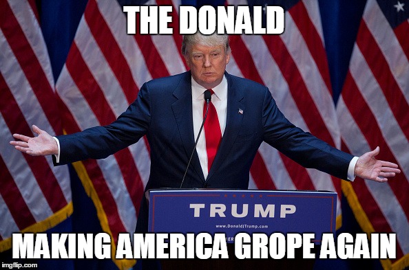 Donald Trump | THE DONALD; MAKING AMERICA GROPE AGAIN | image tagged in donald trump | made w/ Imgflip meme maker