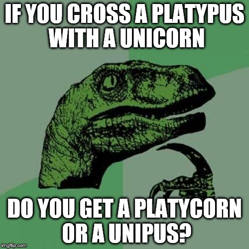 Interspecies Love... | IF YOU CROSS A PLATYPUS WITH A UNICORN; DO YOU GET A PLATYCORN OR A UNIPUS? | image tagged in philosoraptor,funny memes,unicorn,platypus,love,cross | made w/ Imgflip meme maker