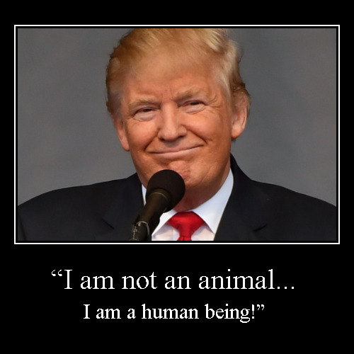 Like the Elephant Man | image tagged in funny,demotivationals,trump,pussy,animal,elephant man | made w/ Imgflip demotivational maker