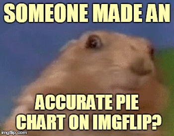 SOMEONE MADE AN ACCURATE PIE CHART ON IMGFLIP? | made w/ Imgflip meme maker