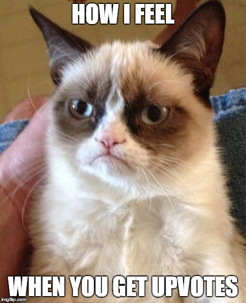 Grumpy Cat | HOW I FEEL; WHEN YOU GET UPVOTES | image tagged in memes,grumpy cat | made w/ Imgflip meme maker