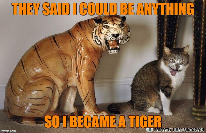 Cat mocking tiger statue licking fur | THEY SAID I COULD BE ANYTHING; SO I BECAME A TIGER | image tagged in cat mocking tiger statue licking fur | made w/ Imgflip meme maker