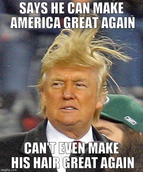 Donald Trumph hair | SAYS HE CAN MAKE AMERICA GREAT AGAIN; CAN'T EVEN MAKE HIS HAIR GREAT AGAIN | image tagged in donald trumph hair | made w/ Imgflip meme maker