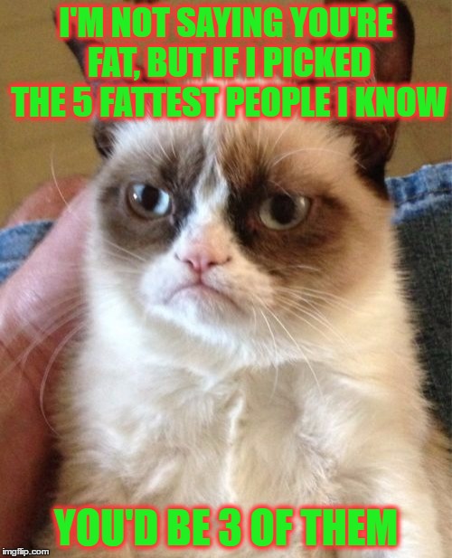 Grumpy Cat | I'M NOT SAYING YOU'RE FAT, BUT IF I PICKED THE 5 FATTEST PEOPLE I KNOW; YOU'D BE 3 OF THEM | image tagged in memes,grumpy cat | made w/ Imgflip meme maker