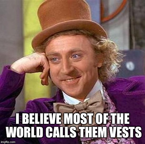 Creepy Condescending Wonka Meme | I BELIEVE MOST OF THE WORLD CALLS THEM VESTS | image tagged in memes,creepy condescending wonka | made w/ Imgflip meme maker