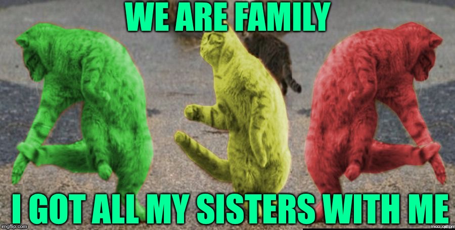 Get up everybody and sing! | WE ARE FAMILY; I GOT ALL MY SISTERS WITH ME | image tagged in three dancing raycats,memes | made w/ Imgflip meme maker